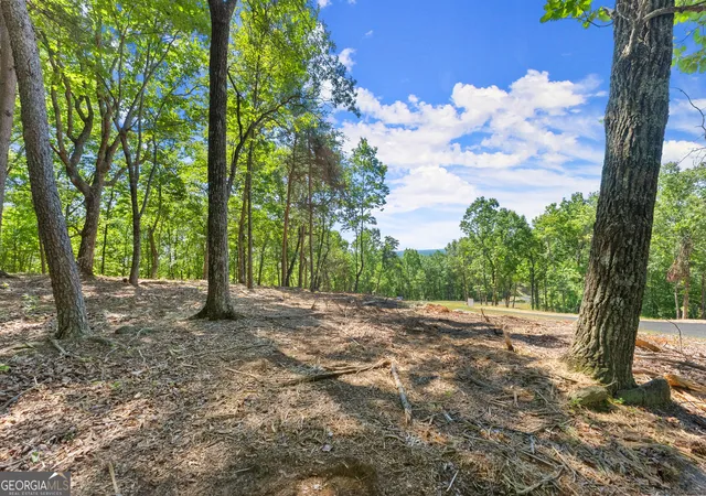 Photo 3 of Land for sale at 210 Chimney Oaks Trl, Cleveland, GA 30528 | MLS# 10798835 | Listing updated on 2026-08-20