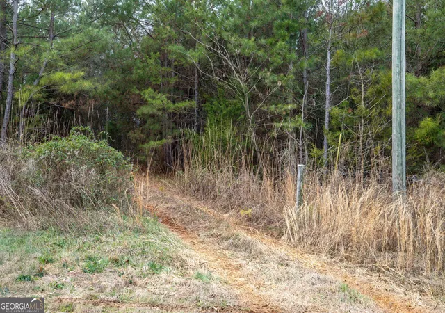 2nd image of 740 Broad River Church Rd E, Eastanollee, GA 30538 | MLS# 10816506