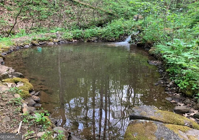 Photo 50 of Sale Pending at 1022 Coweeta Gap Rd, Otto, NC 28763 | MLS# 10718515 | Listing updated on 2026-05-05