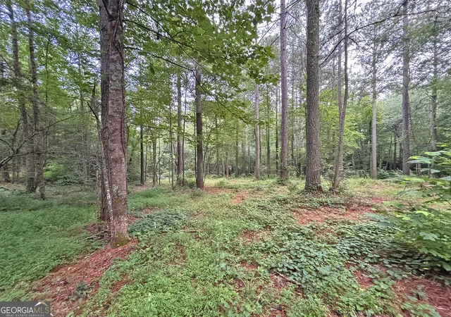 2nd image of 10ac Lovejoy Ln, Talking Rock, GA 30175 | MLS# 10808059