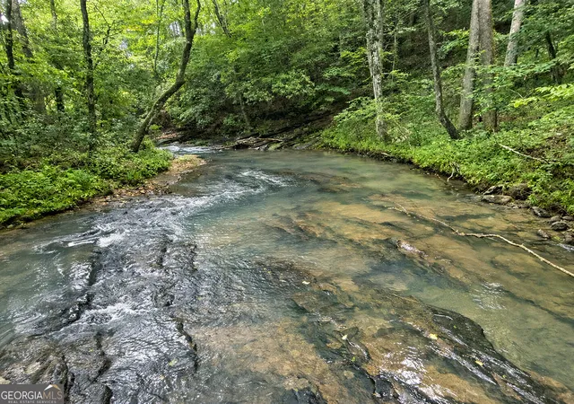 3rd image of 10Ac Lovejoy Ln, Talking Rock, GA 30175 | MLS# 10808059