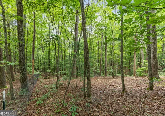 21st image of 0 Crawford Rd #5, Mccaysville, GA 30555 | MLS# 10805054
