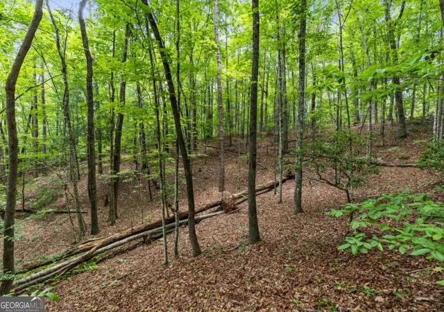 2nd image of 0 Crawford Rd #5, Mccaysville, GA 30555 | MLS# 10805054