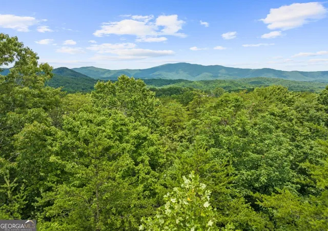 3rd image of 0 Crawford Rd #5, Mccaysville, GA 30555 | MLS# 10805054