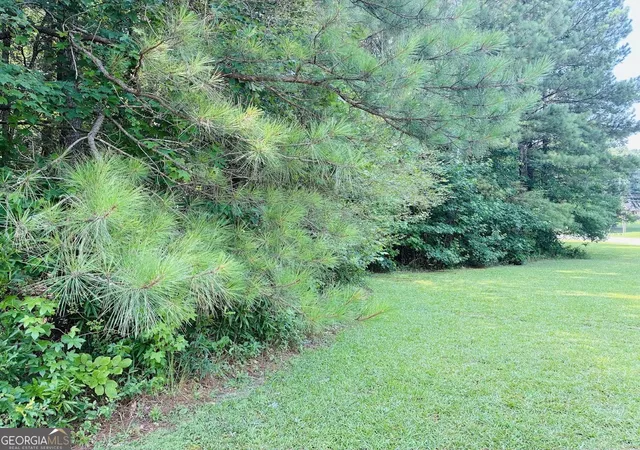 Photo 3 of Sale Pending at 0 Mapledale Trl #LOT 51/52, Sharpsburg, GA 30277 | MLS# 10798849 | Listing updated on 2026-09-11