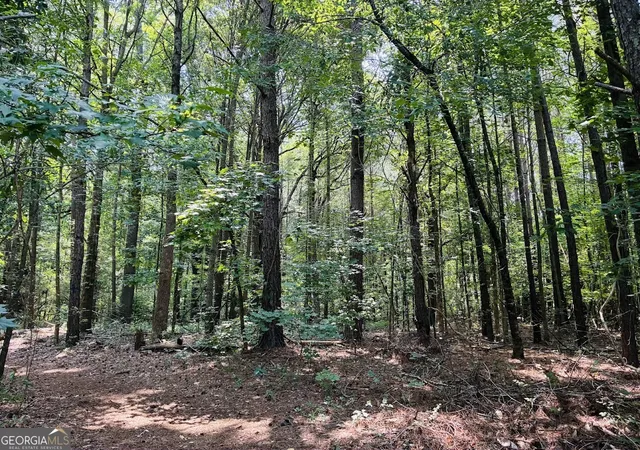 Photo 3 of Sale Pending at 0 Mapledale Trl #LOT 51/52, Sharpsburg, GA 30277 | MLS# 10798849 | Listing updated on 2026-09-11