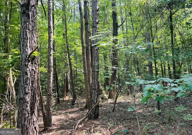 Photo 4 of Sale Pending at 0 Mapledale Trl #LOT 51/52, Sharpsburg, GA 30277 | MLS# 10798849 | Listing updated on 2026-09-11
