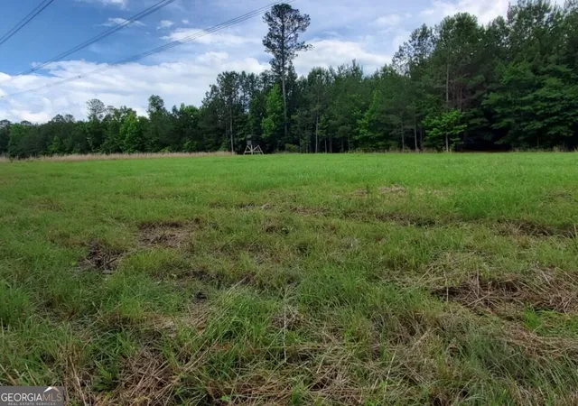Photo 2 of Land for sale at 1 Frazier Rd, Sparta, GA 31087 | MLS# 10833632 | Listing updated on 2026-09-28