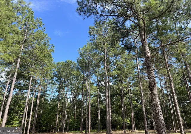 Photo 4 of House for sale at 1 Frazier Rd, Sparta, GA 31087 | MLS# 10833632 | Listing updated on 2026-09-28