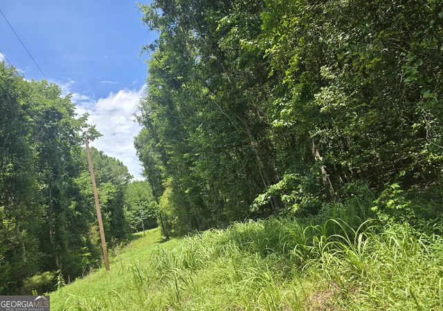 Homes for sale in Cedartown, GA | 0 Potash Rd, Cedartown, GA 30125 | MLS# 10804922