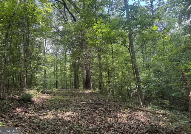 Homes for sale in Franklin, GA | 0 Hickey Rd, Franklin, GA 30217 | MLS# 10805327