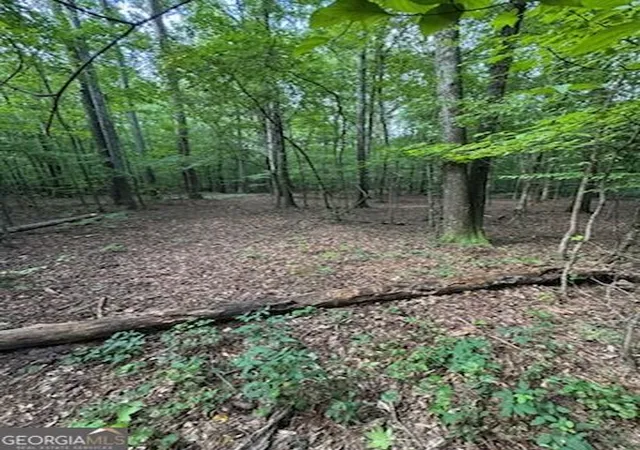 Photo 1 of Land for sale at 184 Mcbride Rd, Fayetteville, GA 30215 | MLS# 10832746 | Listing updated on 2026-09-08