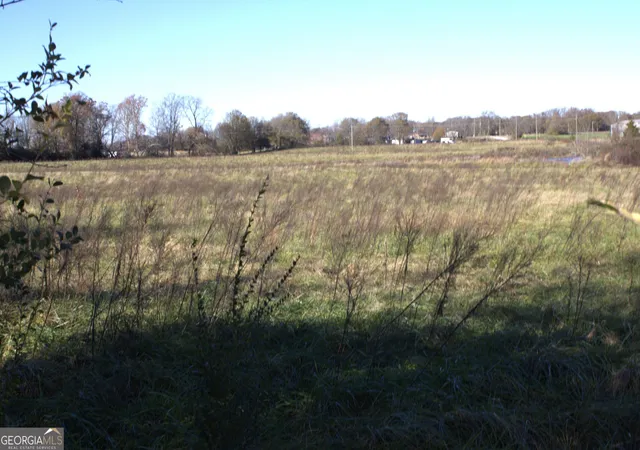 4th image of Tract 5 Seed Cleaner, Hartwell, GA 30643 | MLS# 10775331