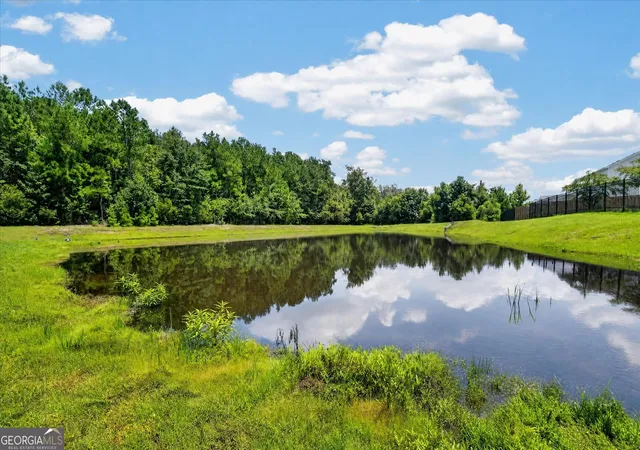 49th image of 20 Nettleton Ln, Richmond Hill, GA 31324 | MLS# 10820589