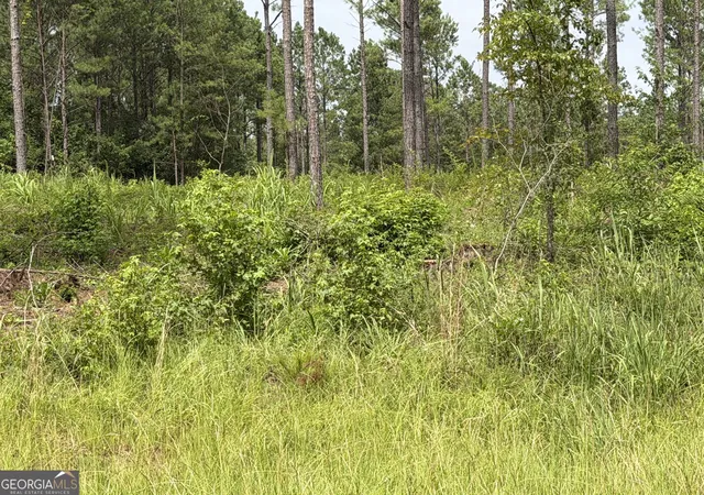 1st image of 007 Old Monticello Rd, Milledgeville, GA 31061 | MLS# 10811695