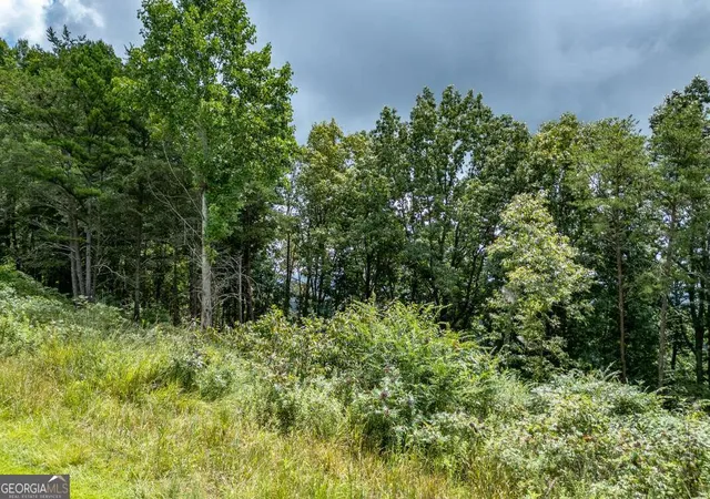 3rd image of Lot T-5 Talona Mountain Rd, Ellijay, GA 30536 | MLS# 10585372