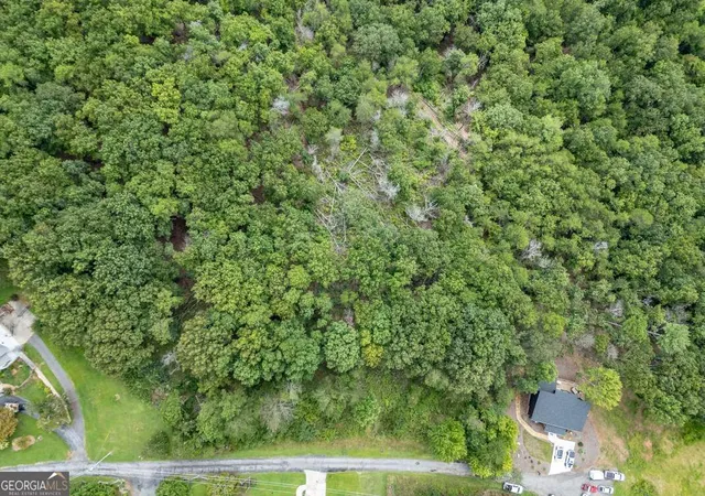 41st image of Lot T 5 Talona Mountain Rd, Ellijay, GA 30536 | MLS# 10585372
