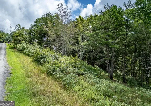 4th image of Lot T-5 Talona Mountain Rd, Ellijay, GA 30536 | MLS# 10585372