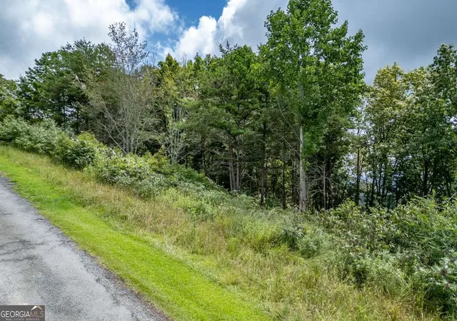 5th image of Lot T-5 Talona Mountain Rd, Ellijay, GA 30536 | MLS# 10585372