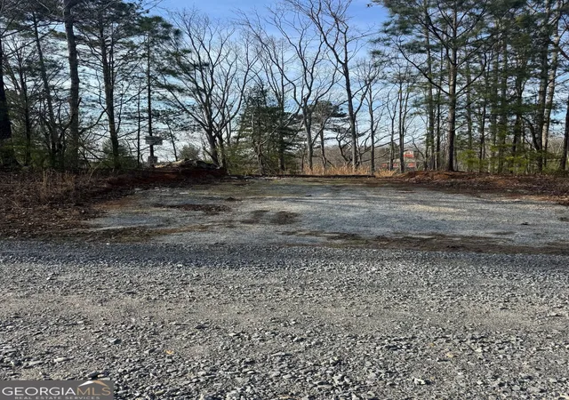 Photo 1 of Land for sale at 208 Lake Forest Dr, Ellijay, GA 30540 | MLS# 10834139 | Listing updated on 2026-09-10