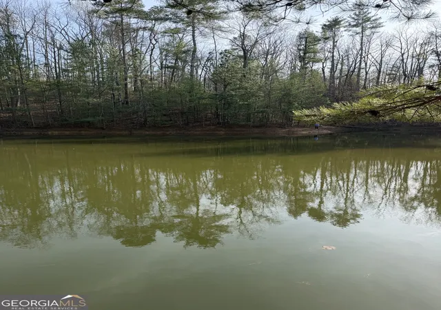 Photo 20 of Land for sale at 208 Lake Forest Dr, Ellijay, GA 30540 | MLS# 10834139 | Listing updated on 2026-09-10