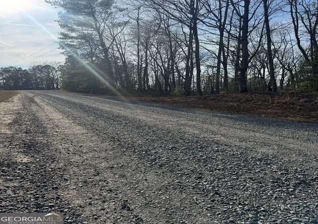 Photo 2 of Land for sale at 208 Lake Forest Dr, Ellijay, GA 30540 | MLS# 10834139 | Listing updated on 2026-09-10