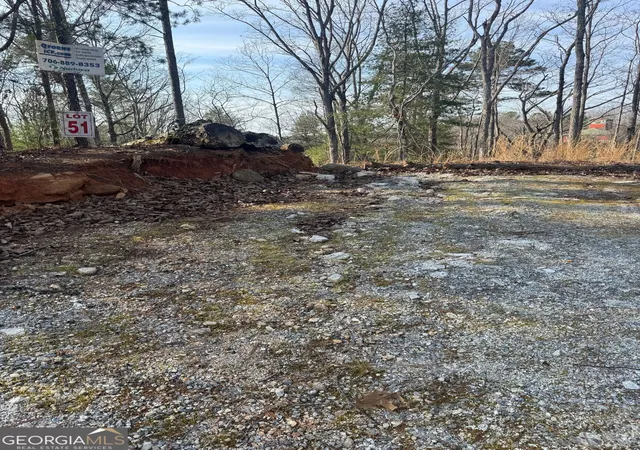Photo 3 of Land for sale at 208 Lake Forest Dr, Ellijay, GA 30540 | MLS# 10834139 | Listing updated on 2026-09-10