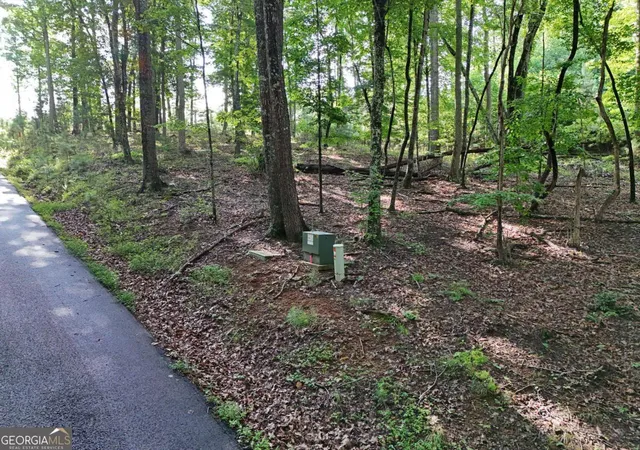 Photo 3 of Land for sale at Lot 100 Valley Crst Dr, Blairsville, GA 30512 | MLS# 10565907 | Listing updated on 2026-07-27