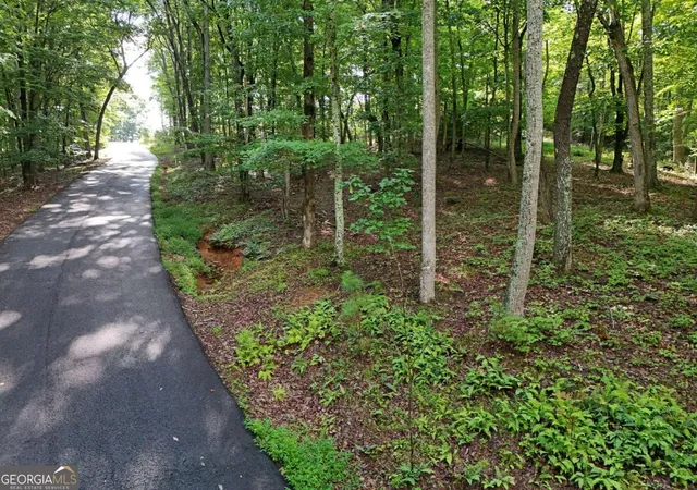 Photo 4 of Land for sale at Lot 100 Valley Crst Dr, Blairsville, GA 30512 | MLS# 10565907 | Listing updated on 2026-07-27