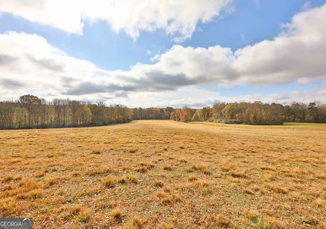 Homes for sale in Brooks, GA | Lot 7 Mask Road - Hanner'S Farm South, Brooks, GA 30205 | MLS# 10766956