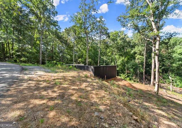 Photo 3 of Land for sale at 144 Alder St, Demorest, GA 30535 | MLS# 10802206 | Listing updated on 2026-07-23
