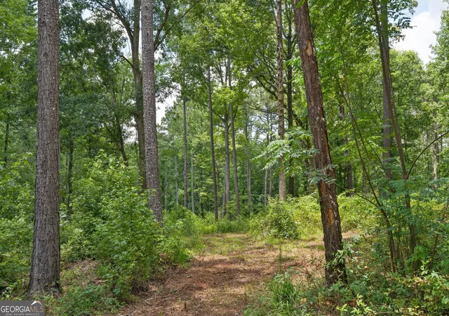 Homes for sale in Culloden, GA | 85 Askin Pl, Culloden, GA 31016 | MLS# 10802471