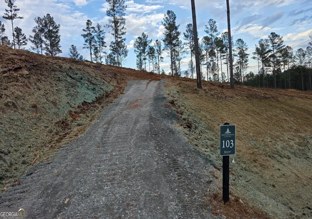 Homes for sale in Ellijay, GA | 103 Springfield Pkwy, Ellijay, GA 30540 | MLS# 10682247