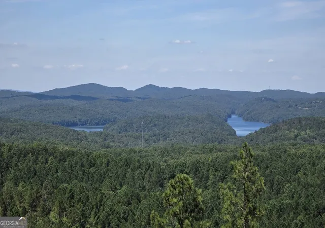 Homes for sale in Ellijay, GA | 103 Springfield Pkwy, Ellijay, GA 30540 | MLS# 10682247