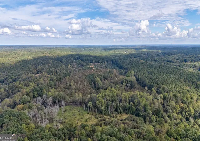 Homes for sale in Watkinsville, GA | 00 Old Salem Rd #TRACT 3, Watkinsville, GA 30677 | MLS# 10794829