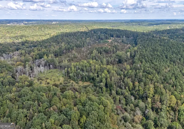 Homes for sale in Watkinsville, GA | 00 Old Salem Rd #TRACT 3, Watkinsville, GA 30677 | MLS# 10794829