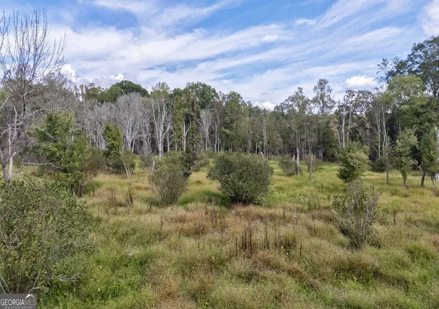 Homes for sale in Watkinsville, GA | 00 Old Salem Rd #TRACT 3, Watkinsville, GA 30677 | MLS# 10794829