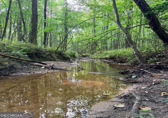 Photo 1 of Land for sale at Lot 20 Henderson Mountain Rd, Jasper, GA 30143 | MLS# 10878370 | Listing updated on 2026-10-30