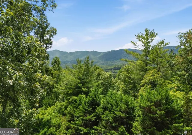 2nd image of 93 Jamie Ln, Blairsville, GA 30512 | MLS# 10811387