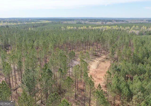Homes for sale in Greenville, GA | 205+/  Woodard Rd, Greenville, GA 30222 | MLS# 10718653
