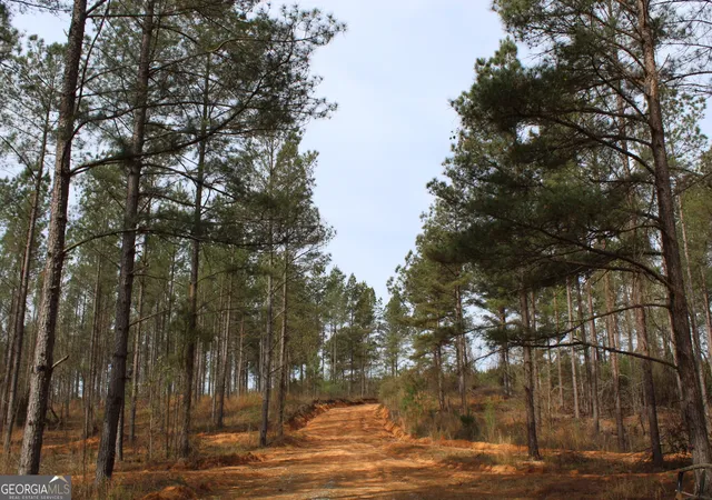Homes for sale in Greenville, GA | 205+/  Woodard Rd, Greenville, GA 30222 | MLS# 10718653