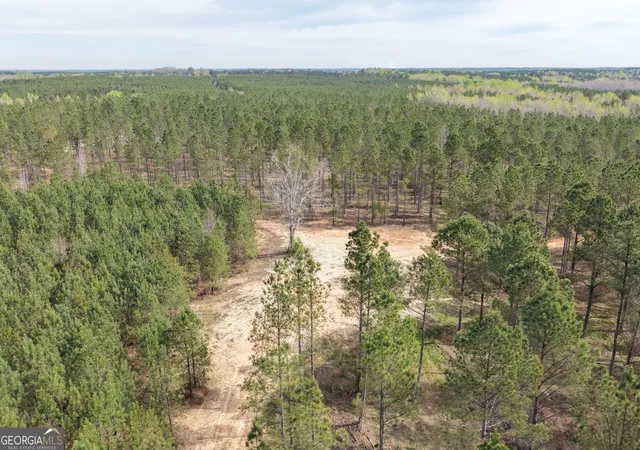 Homes for sale in Greenville, GA | 205+/- Woodard Rd, Greenville, GA 30222 | MLS# 10718653