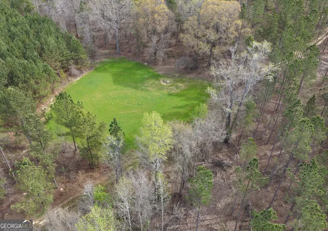 Homes for sale in Greenville, GA | 205+/- Woodard Rd, Greenville, GA 30222 | MLS# 10718653