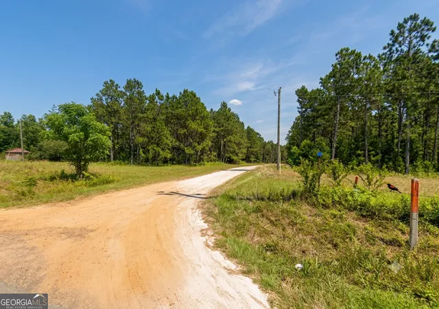 1st image of 0 Spotlight Cir, Chester, GA 31012 | MLS# 10811296