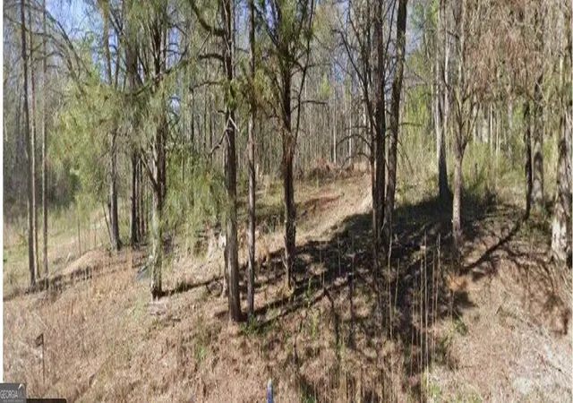 1st image of 358 Jims Ln, Nicholson, GA 30565 | MLS# 10808620
