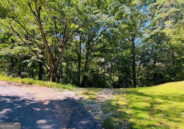 Homes for sale in Ellijay, GA | 4 Maxwell Mountain Rd, Ellijay, GA 30540 | MLS# 10601663