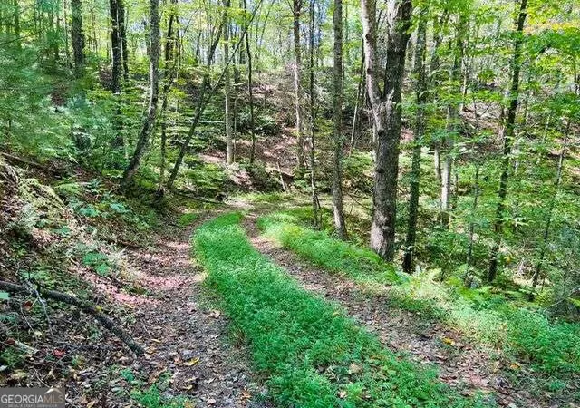 Homes for sale in Ellijay, GA | 4 Maxwell Mountain Rd, Ellijay, GA 30540 | MLS# 10601663