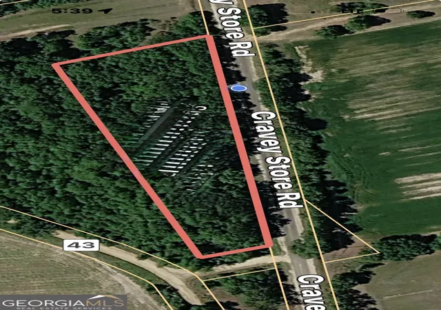 1st image of 0 Old China Hill Rd, Milan, GA 31060 | MLS# 10808307