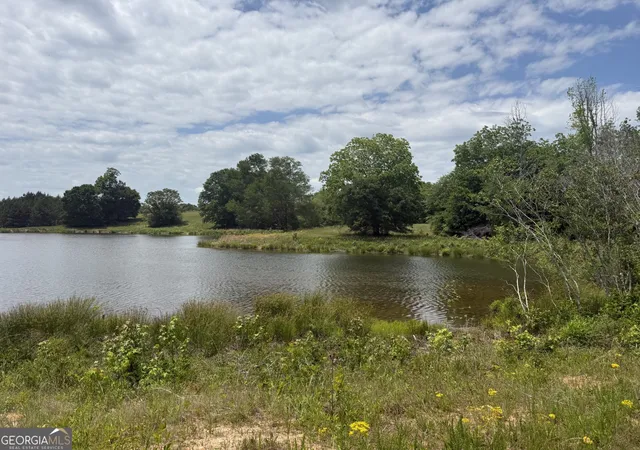 Homes for sale in Zebulon, GA | 35 Ac Hwy 109, Zebulon, GA 30295 | MLS# 10758869