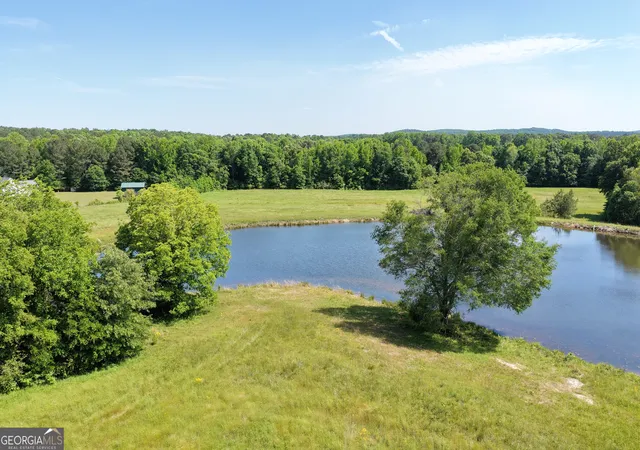 Homes for sale in Zebulon, GA | 35 Ac Hwy 109, Zebulon, GA 30295 | MLS# 10758869